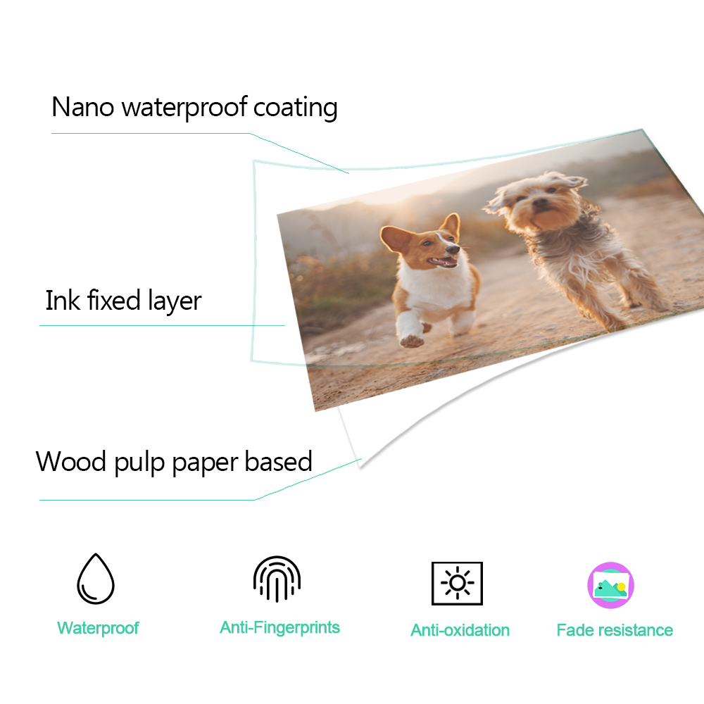 1/2/3/4/5 個 6 インチインクカートリッジ KP  - Commercial Photo Printer のレビューと価格